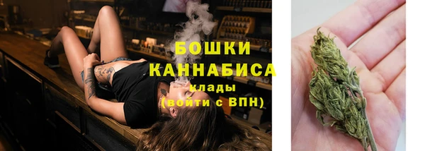 амф Вязьма