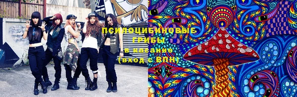 амф Вязьма