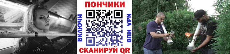 это телеграм OMG ссылки Железногорск Каннабис сатива